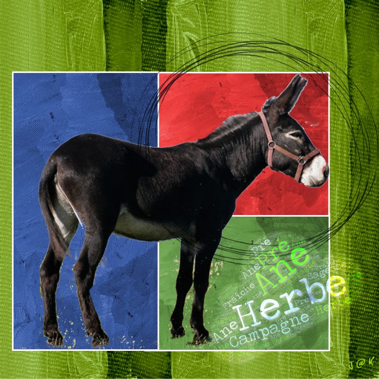 ane2