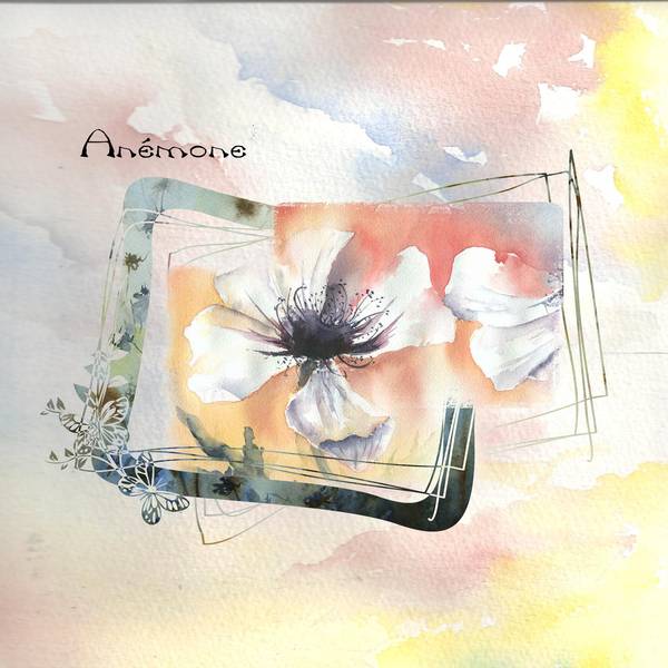 Anèmone