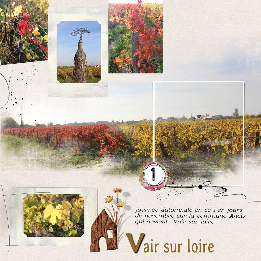 anetz "vair sur loire'