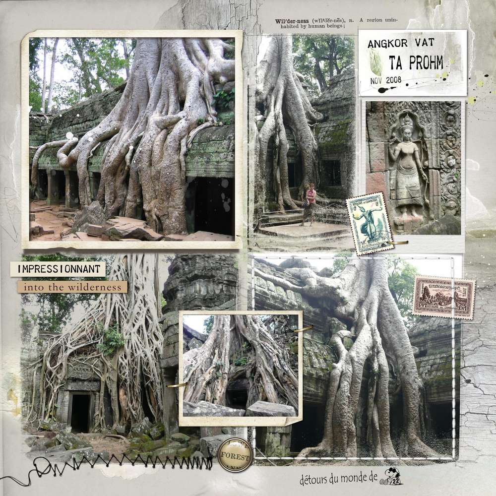 Angkor - temple Ta Prohm