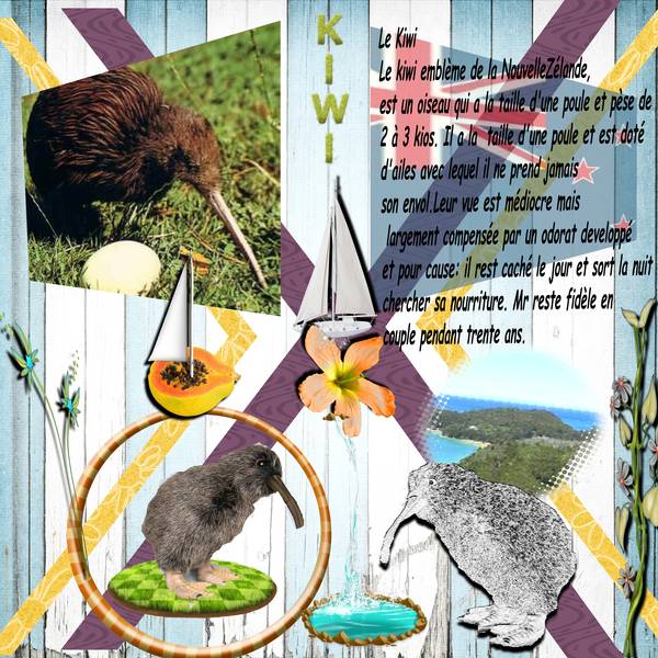 animal insolite défi