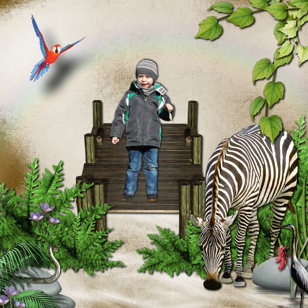 Animaux de la jungle