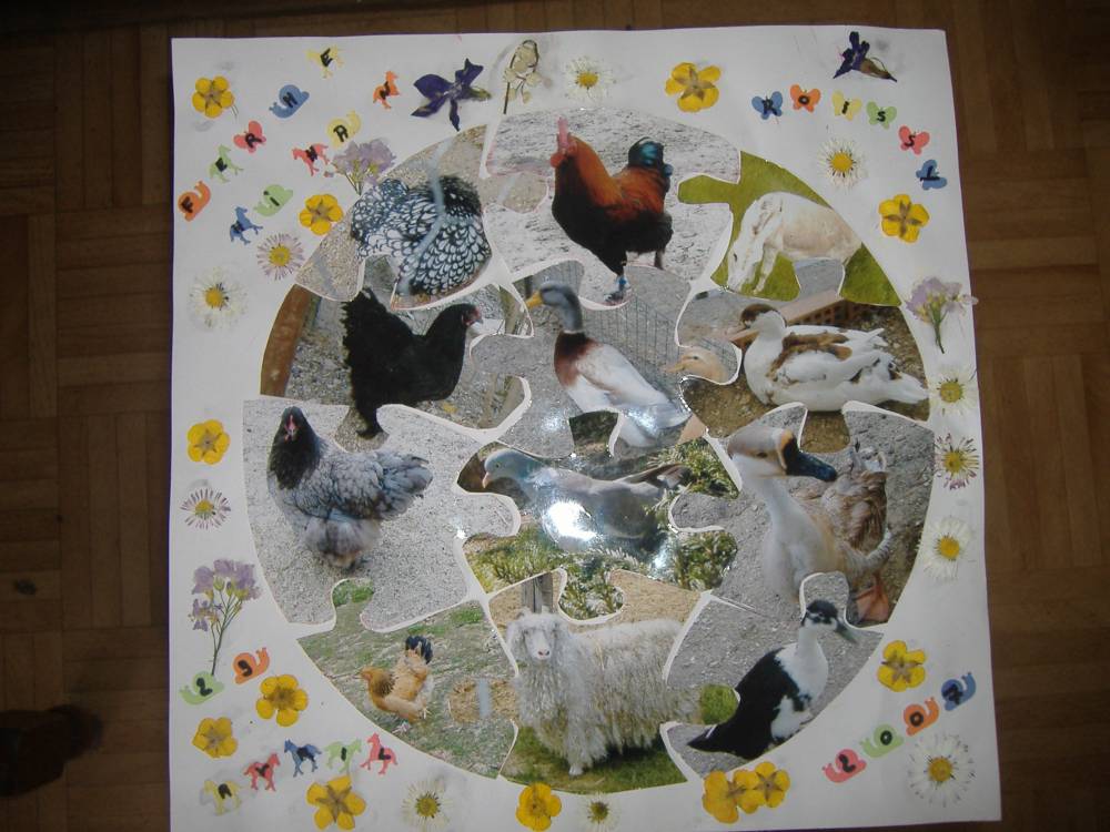 ANIMAUX EN PUZZLE