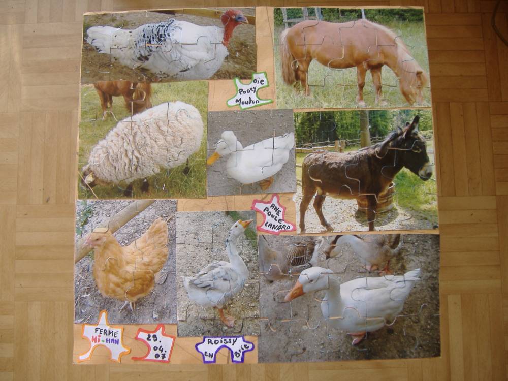 ANIMAUX EN PUZZLE