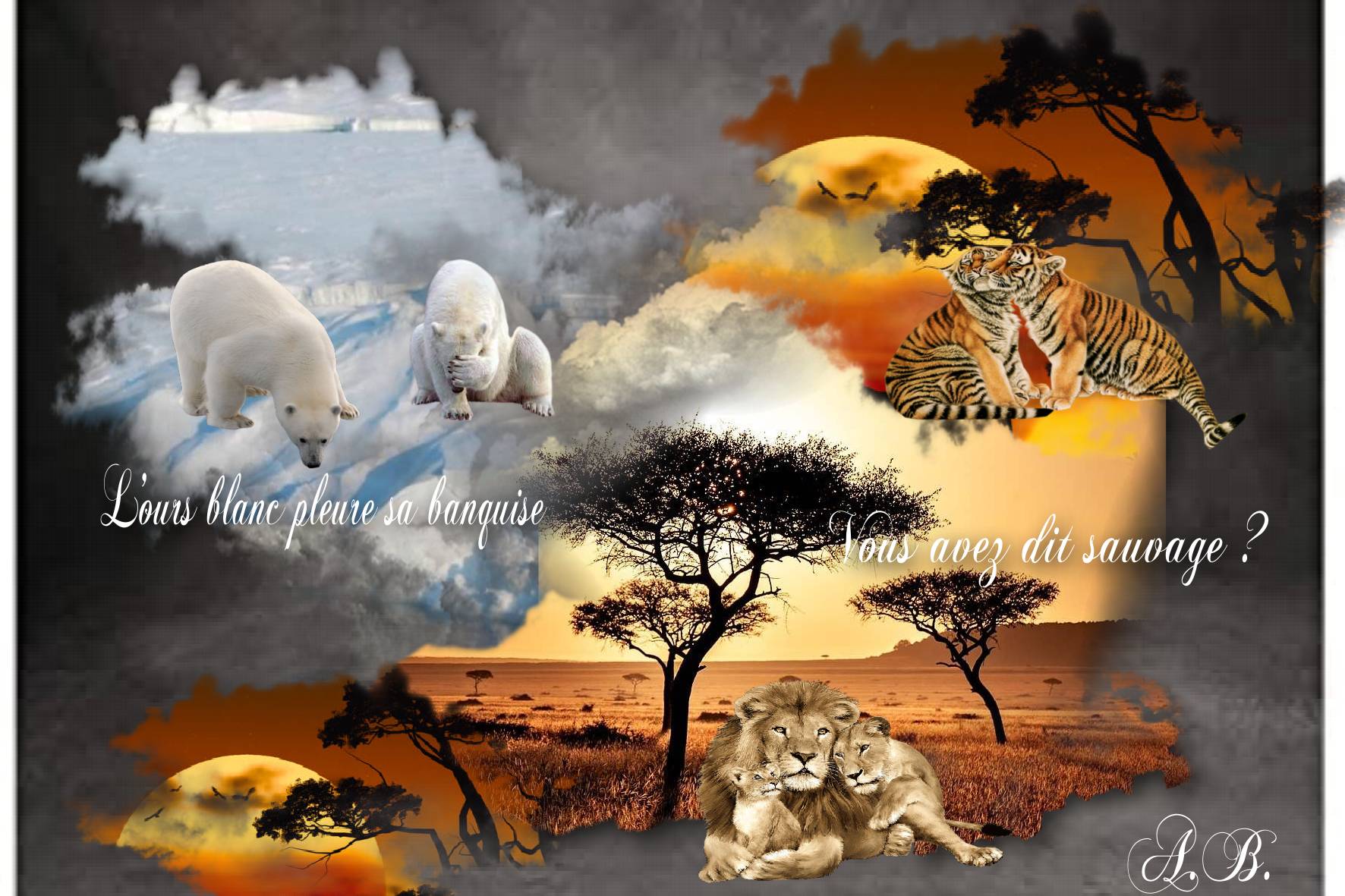 animaux sauvages Aurore.jpg