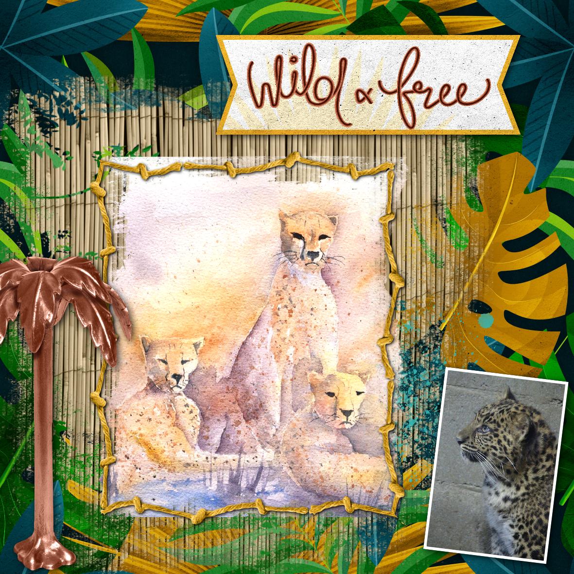 animaux sauvages.jpg