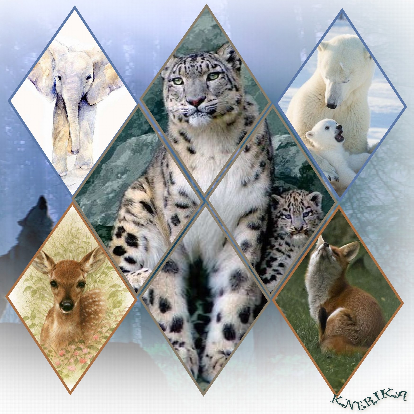 animaux sauvages_Anne Marie.jpg