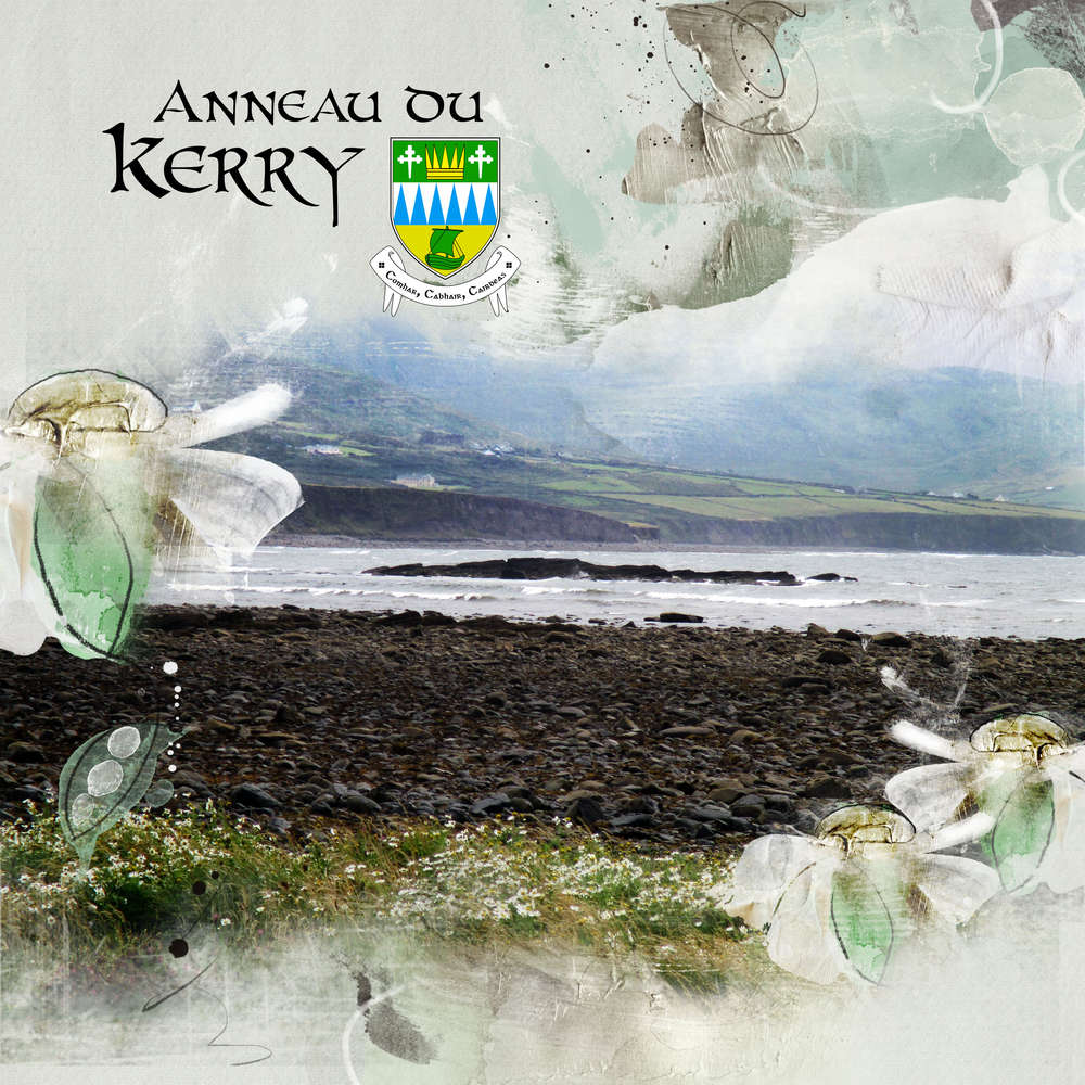 Anneau du Kerry N°3