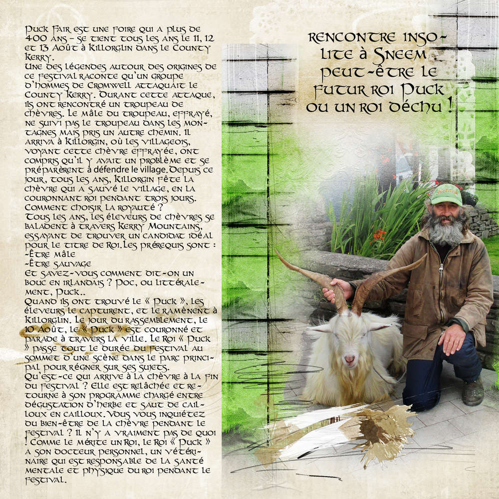 Anneau du Kerry N°5