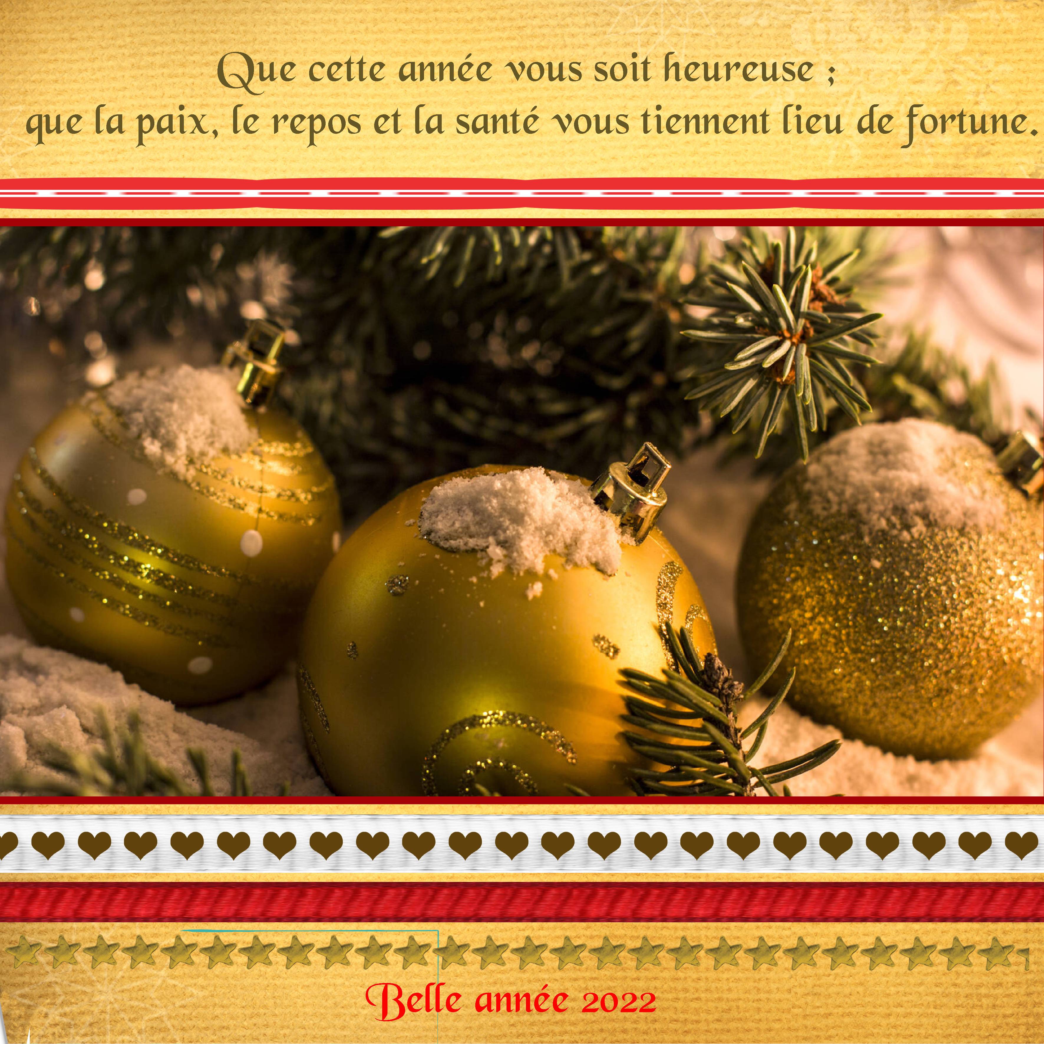 année 2022.jpg