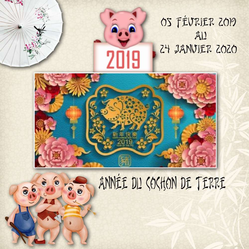 annee du cochon