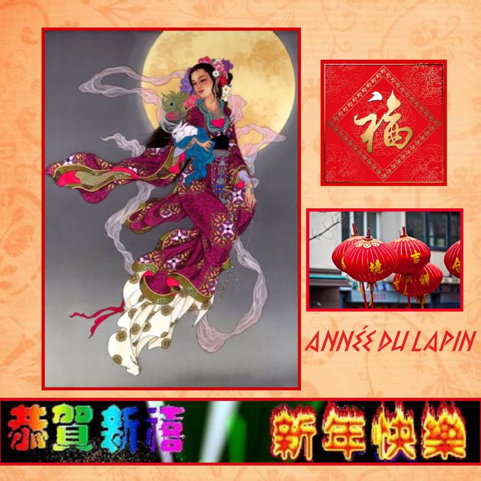 Année du Lapin 2. Défi Max