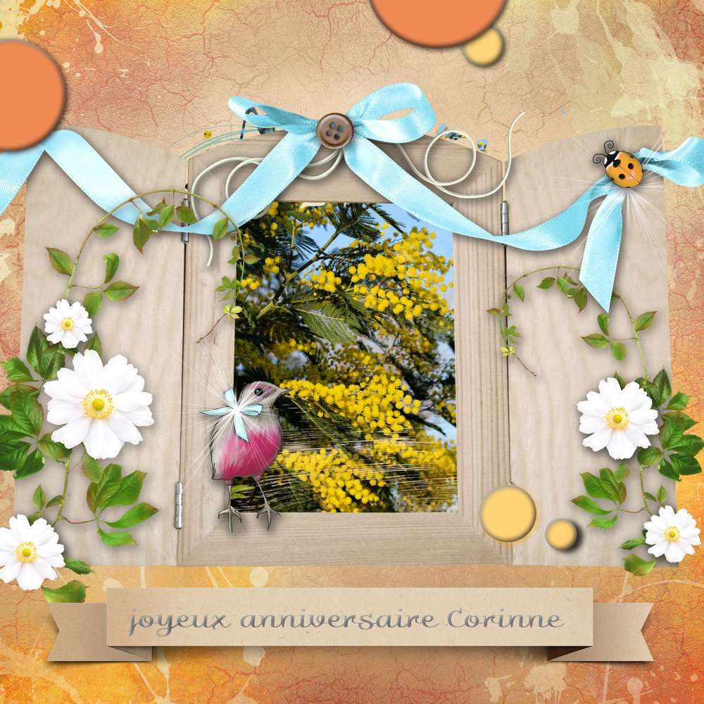 anniv-Corine