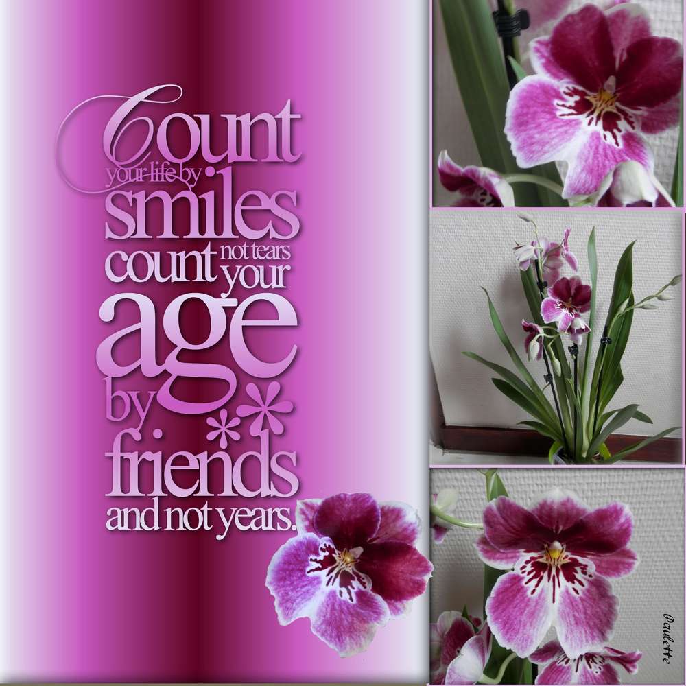 anniv dom berenice et defi gilberte