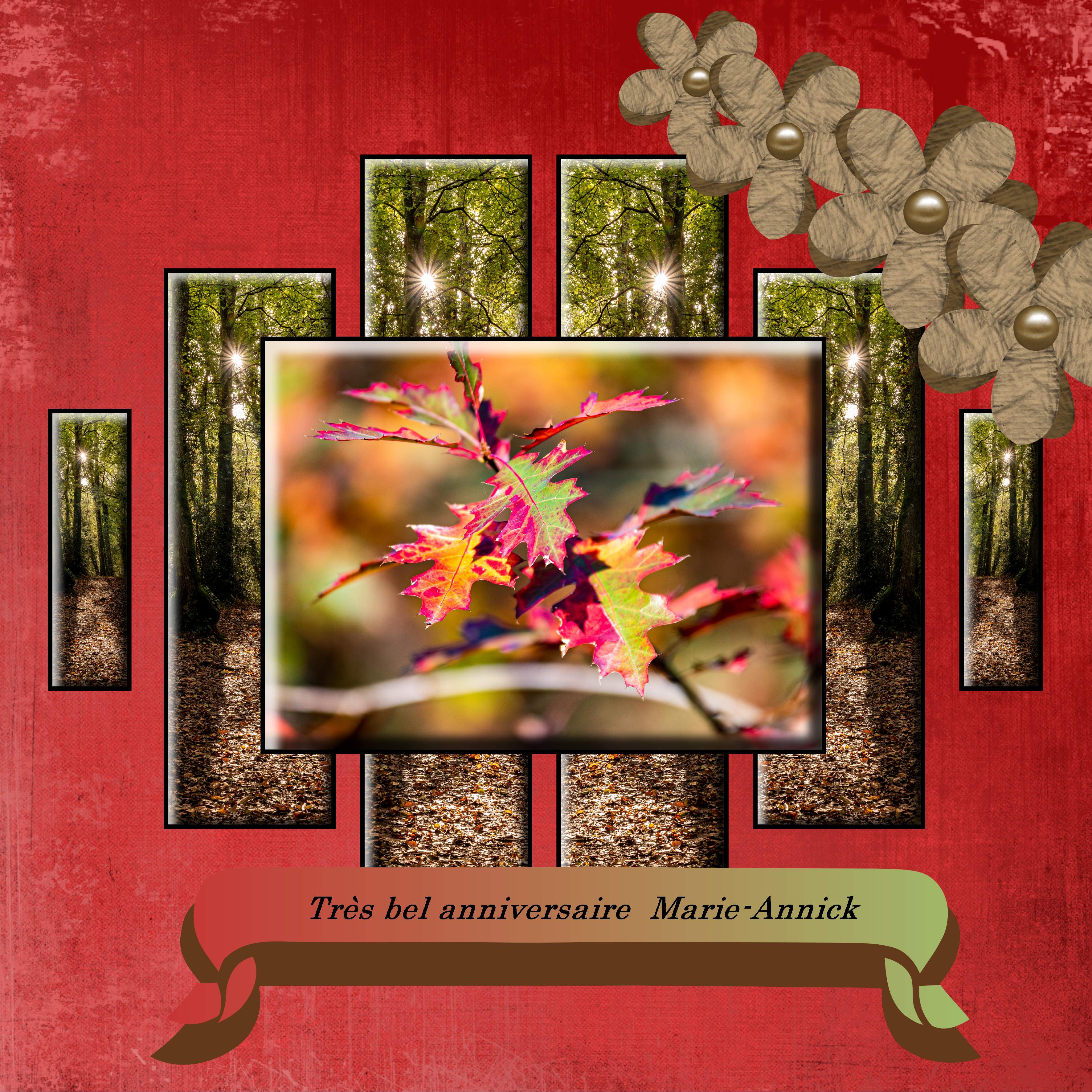 anniv M.annick.II.jpg