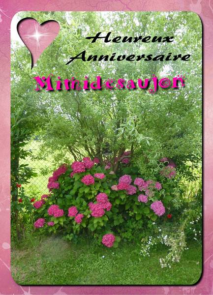 anniv mimidesaujon