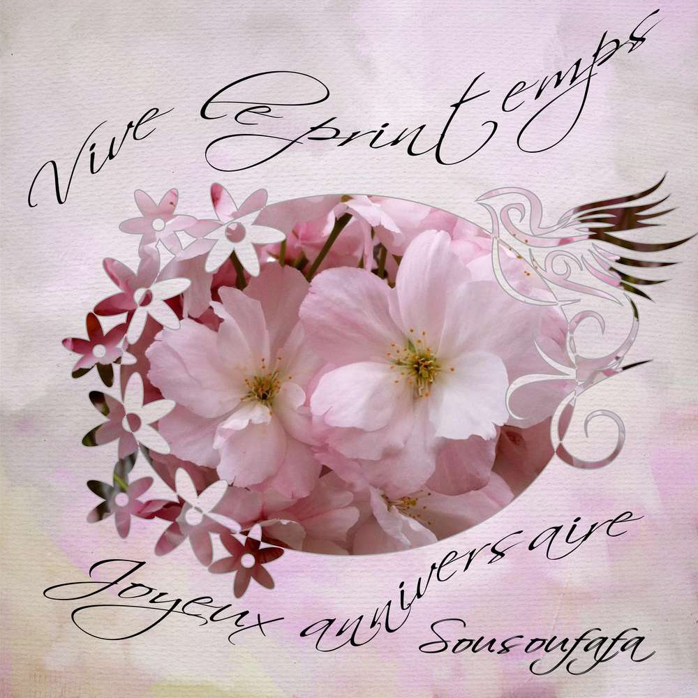 anniveraire_sousoufafa