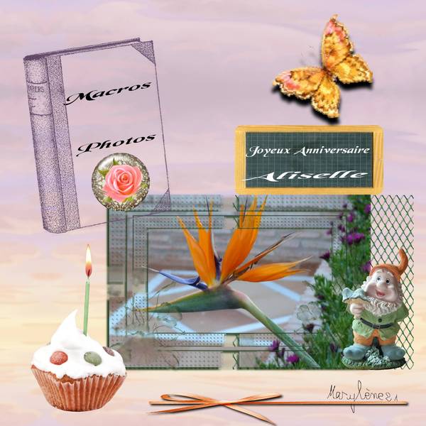 ANNIVERSAIRE ALISELLE