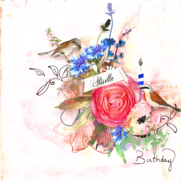 Anniversaire Aliselle