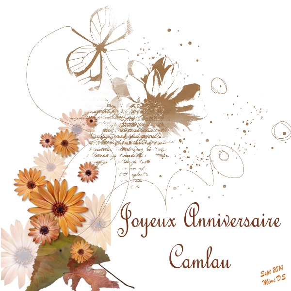 Anniversaire Camlau