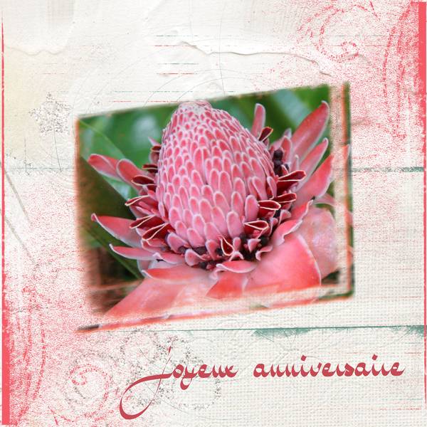 anniversaire Corinne