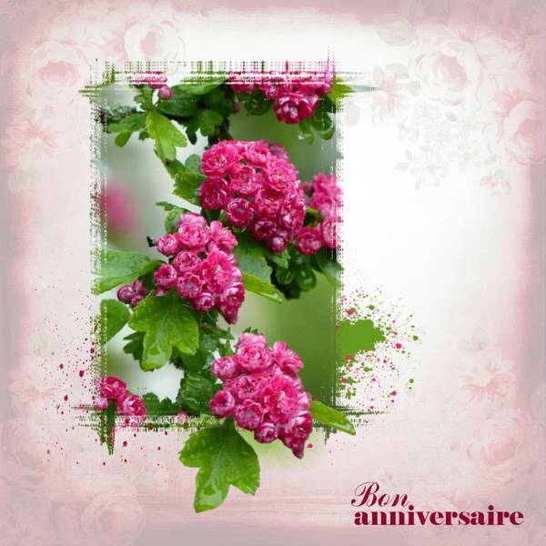 Anniversaire D D