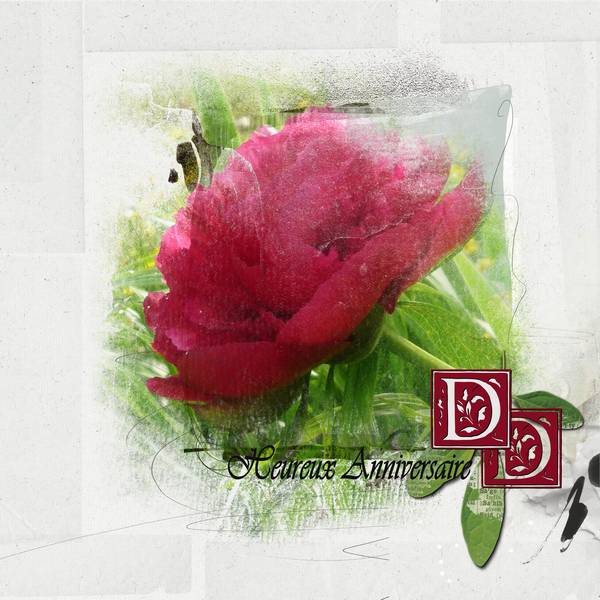 Anniversaire DD