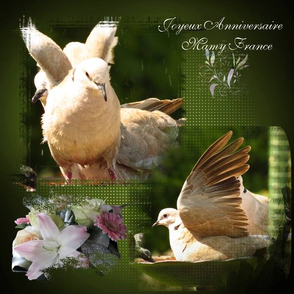 Anniversaire de Mamy France