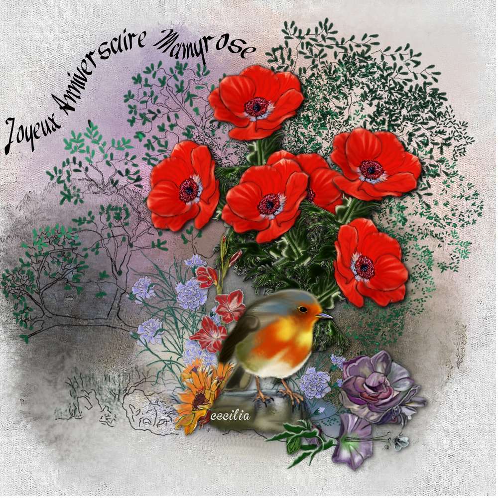 Anniversaire de Mamyrose