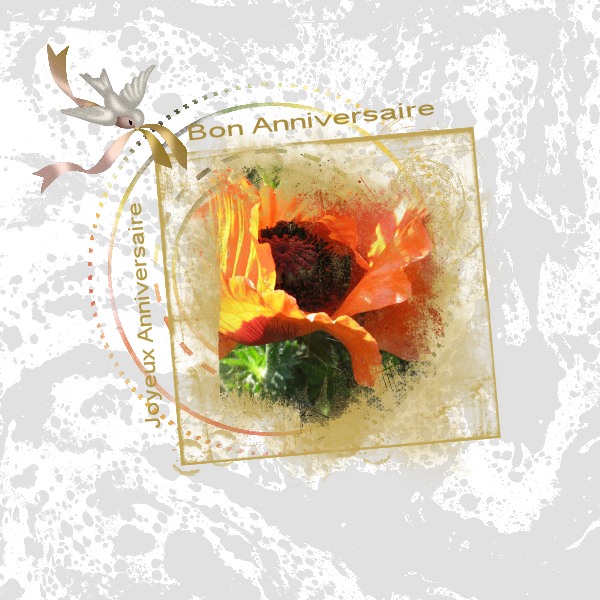 Anniversaire Dominique