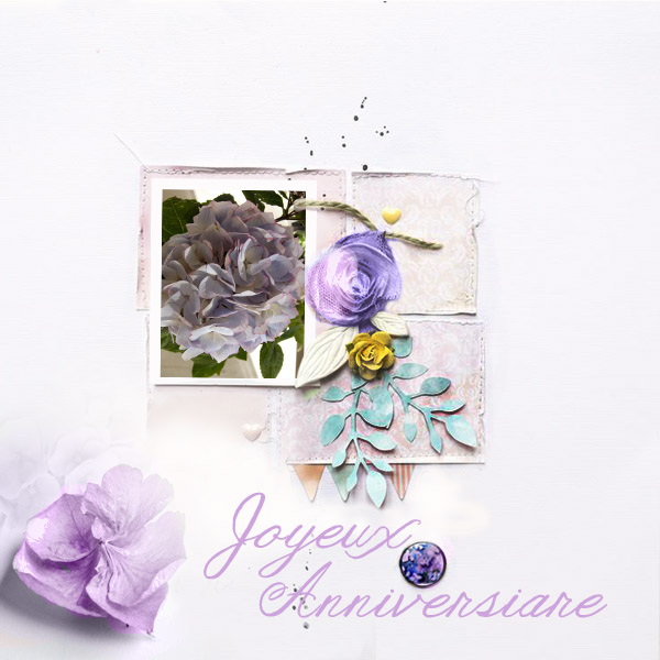 Anniversaire Frisette