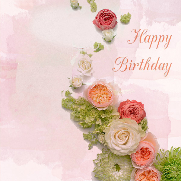 Anniversaire Frisette