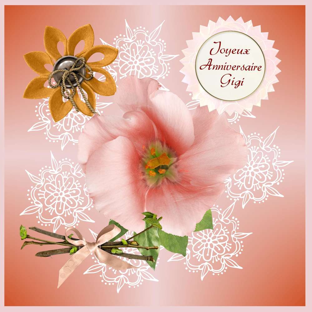Anniversaire Gigi