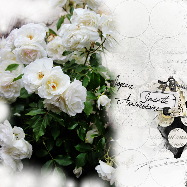 Anniversaire Josette