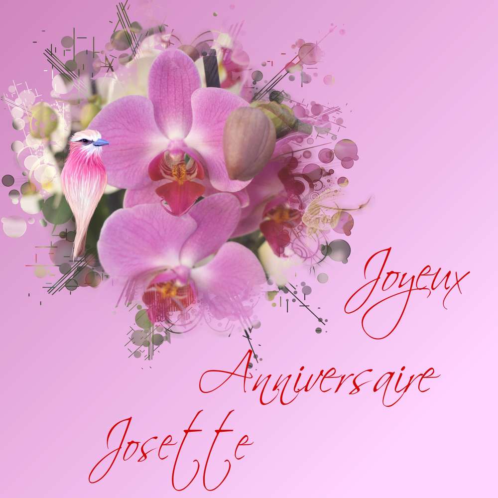 Anniversaire Josette