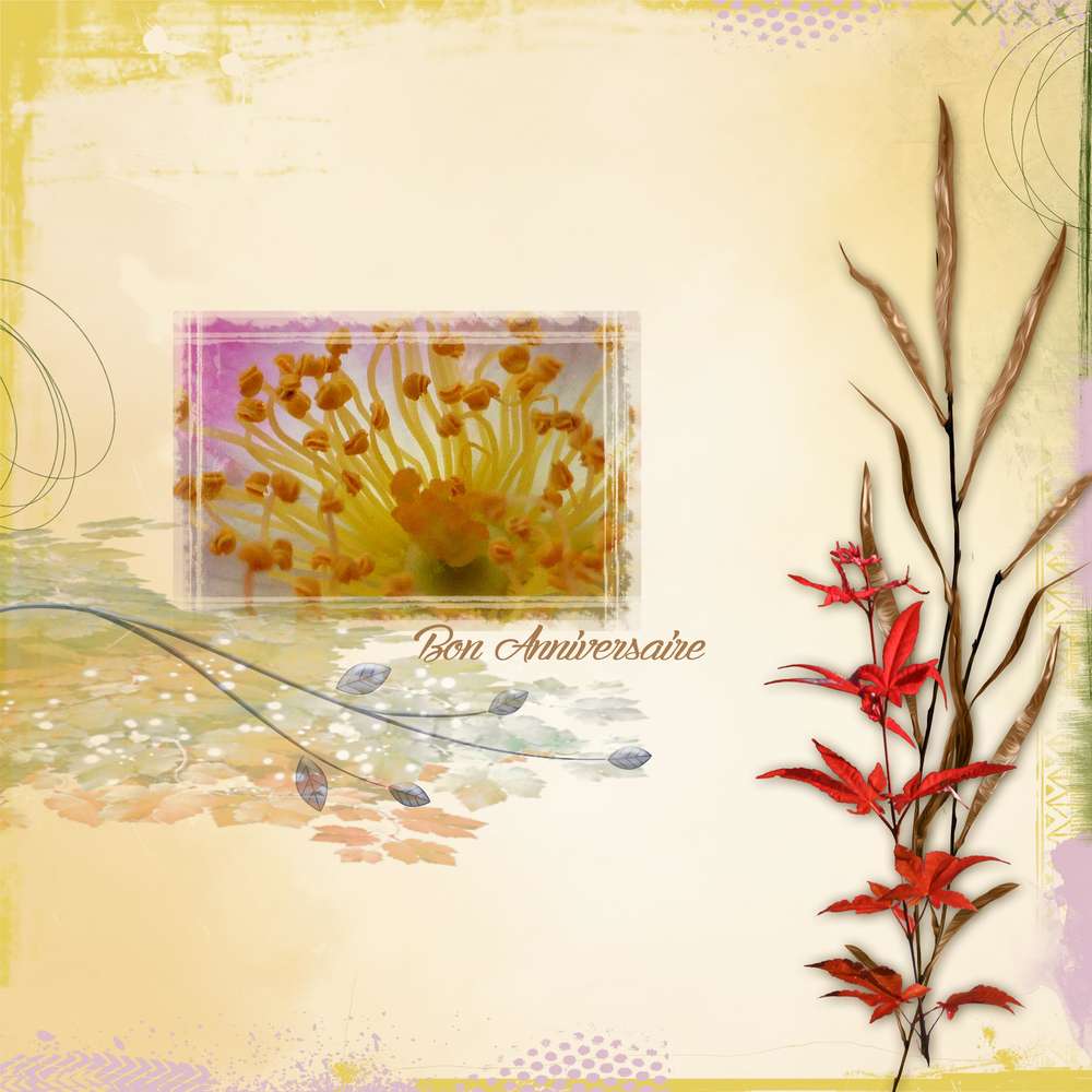 Anniversaire Kateline