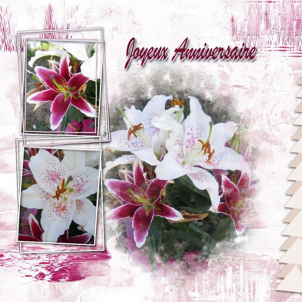 anniversaire Kateline