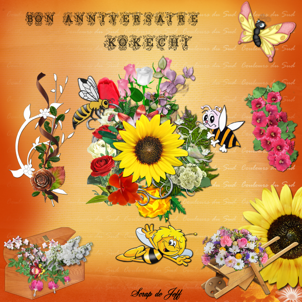 Anniversaire Kokechi