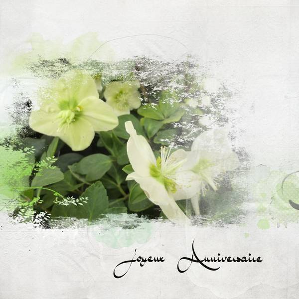 Anniversaire Kokechi