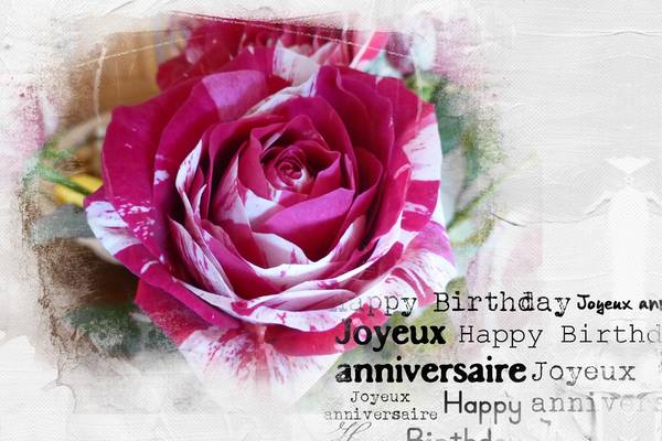 anniversaire Kokechi