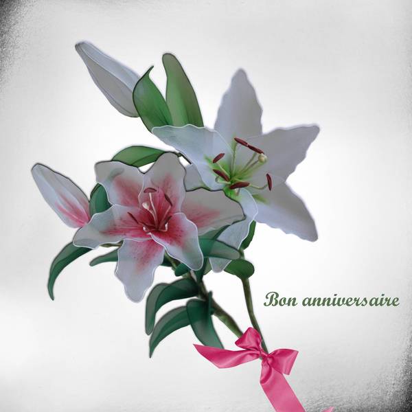 Anniversaire Mamyrose