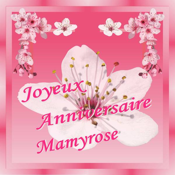 anniversaire Mamyrose