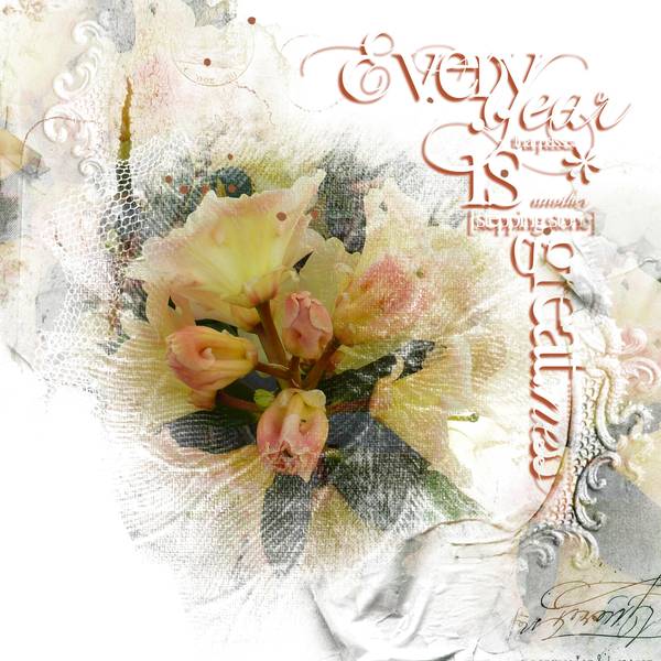 anniversaire Mamyrose