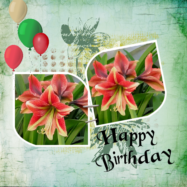 Anniversaire Mamyrose