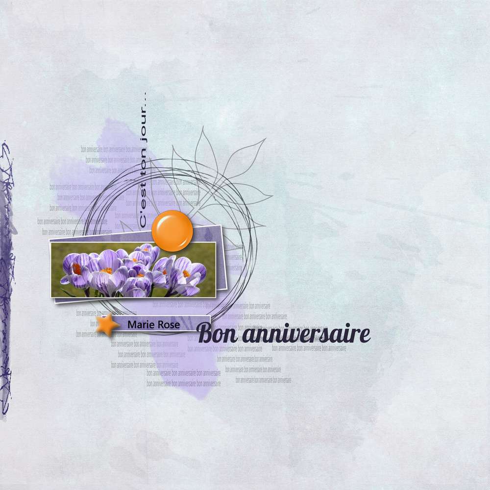 Anniversaire Mamyrose