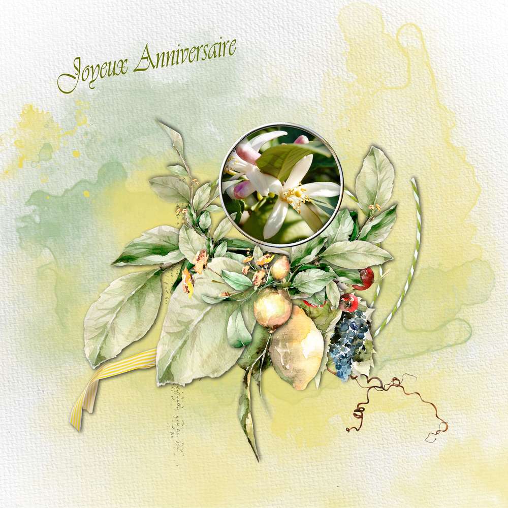 anniversaire mamyrose