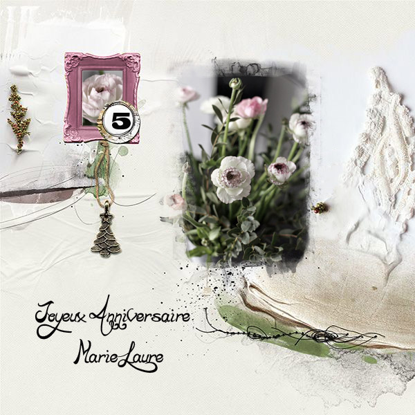 Anniversaire Marie Laure