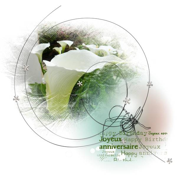 Anniversaire Marilou Fu