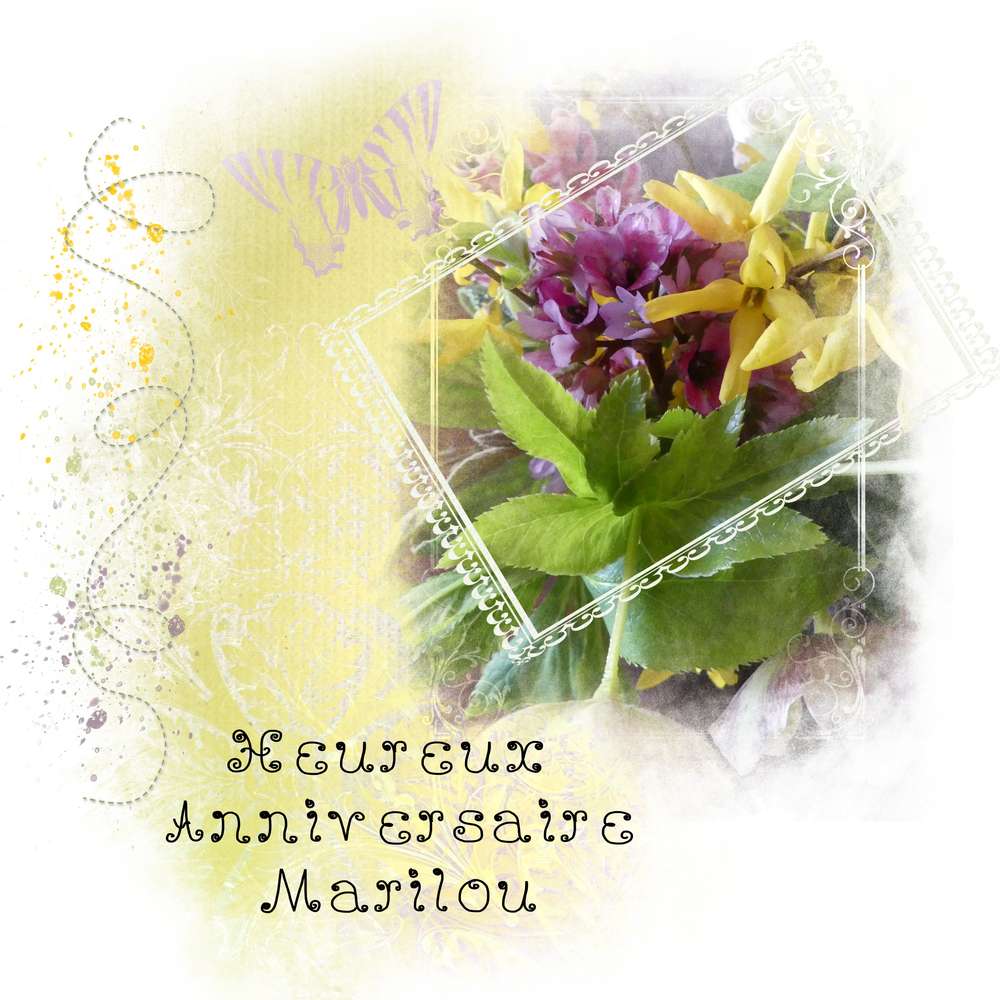 Anniversaire Marilou fu