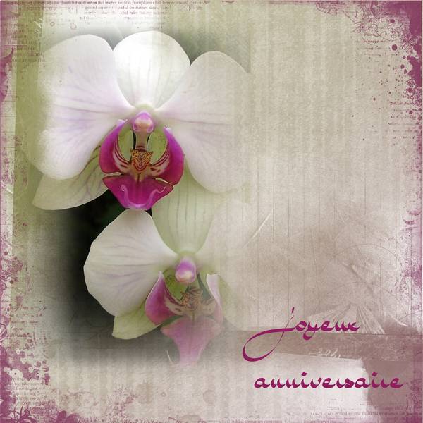 Anniversaire Martinas